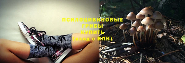 прущие крисы Зеленокумск