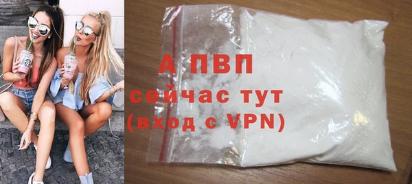 прущие крисы Зеленокумск